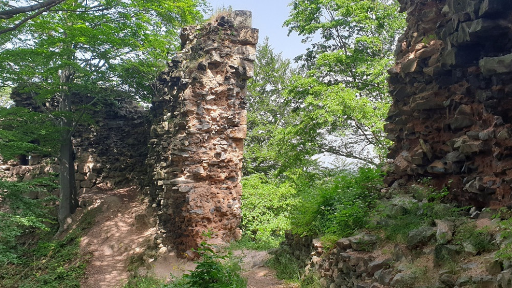 Zřícenina hradu Bradlec u Lomnice