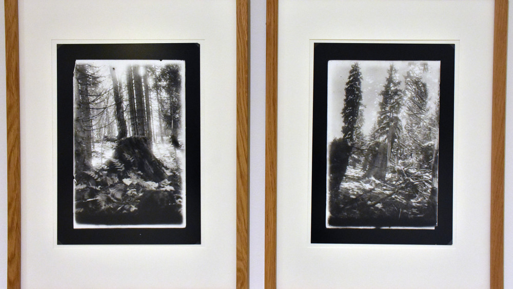 Ze série fotografických studií pro pozdější grafické transformace (20. léta).