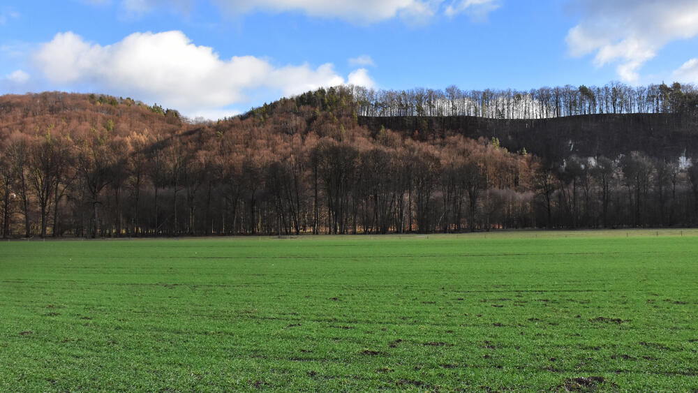 Výlet
