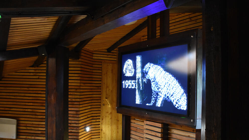 Jednou z novinek, která přijde za deště vhod, je ZOO kino. Promítají se zde filmy o činnosti liberecké ZOO ve světě.