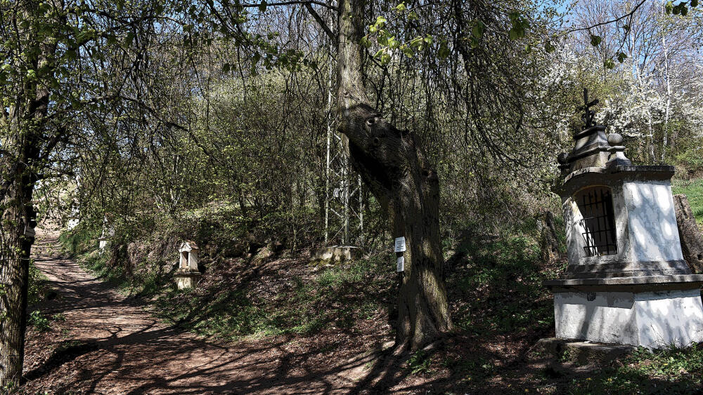 Začátek křížové cesty. (Větší kaplička zcela vpravo ale zřejmě není její součástí.)