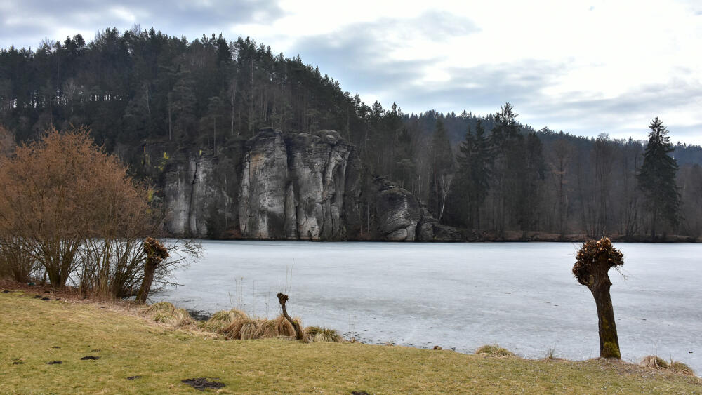 Věžický rybník.