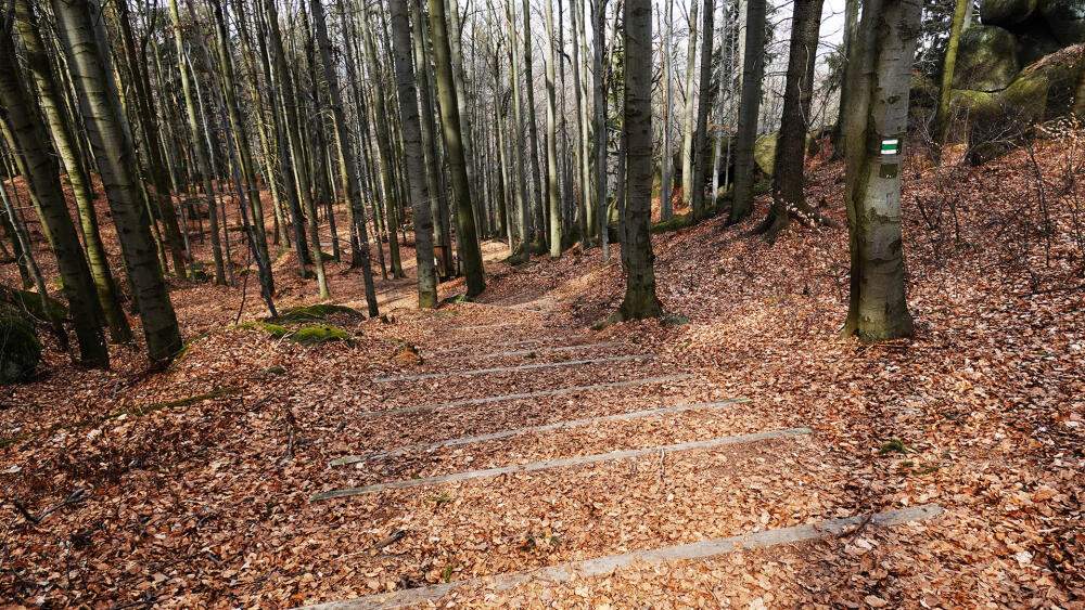 Sešup k odbočce na Skalní hrad.