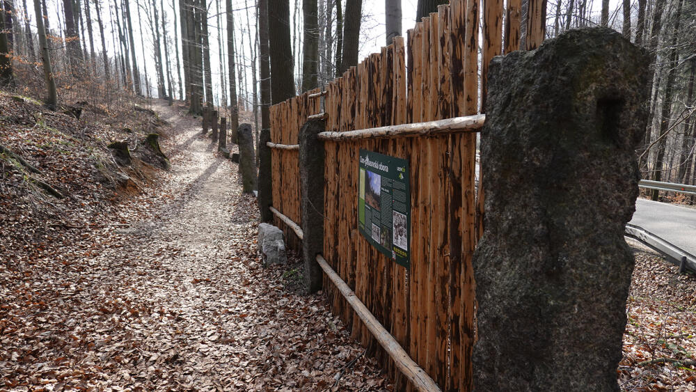 Představu, jak obora vypadala, dávají dvě zrekonstruovaná pole, umístěná necelý kilometr pod Oldřichovským sedlem ve směru na Oldřichov.