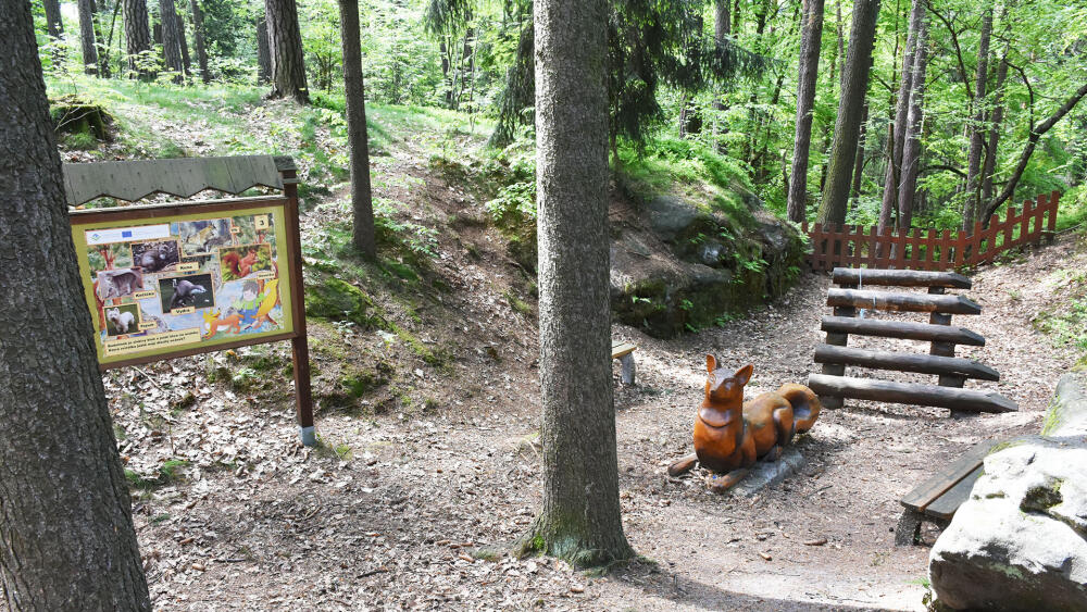 Objevování tajemných zákoutí lesoparku malým pacientům zpestřuje pobyt a zlepšuje kondici.