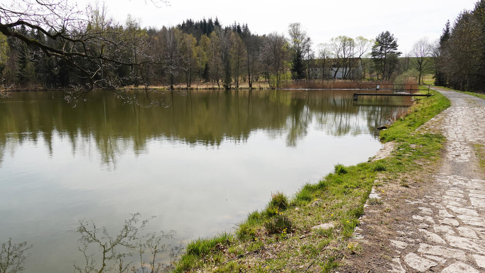 Mlýnský rybník.