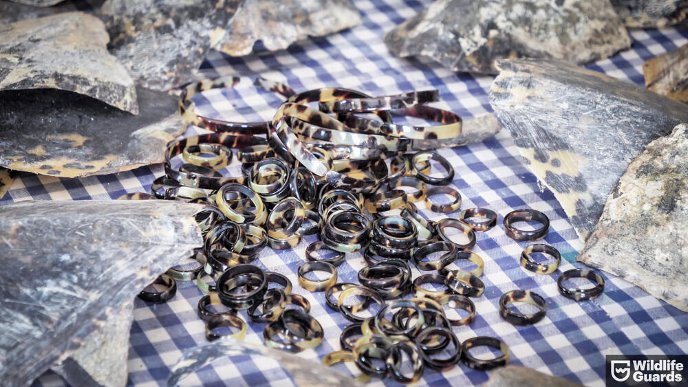 Výrobky z želvoviny (foto Mišo Gálik).