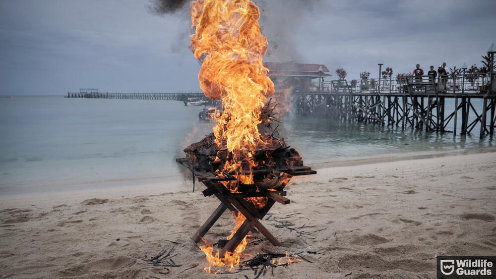 Všechna odevzdaná želvovina se demonstrativně spálila také proto, aby popřela místní pověry, že chrání domy před požárem (foto Mišo Gálik).