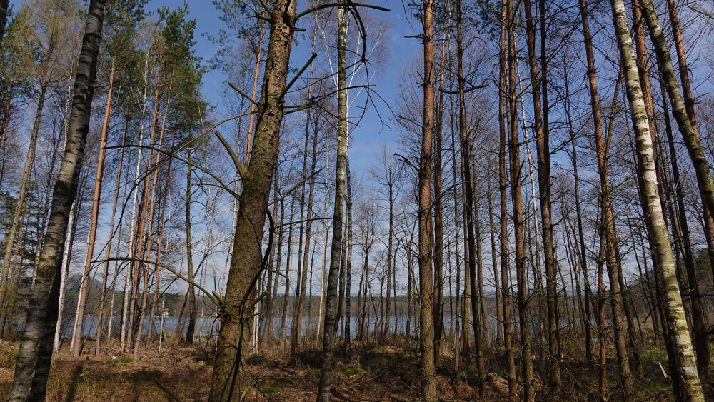 Hamerské jezero.