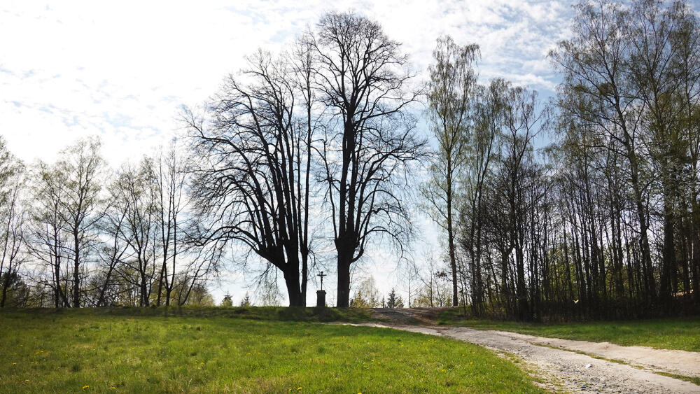 Rozcestí zelené a modré. Pozor, fotka není pořízená ze směru od Radvance. Vy přijdete zleva.