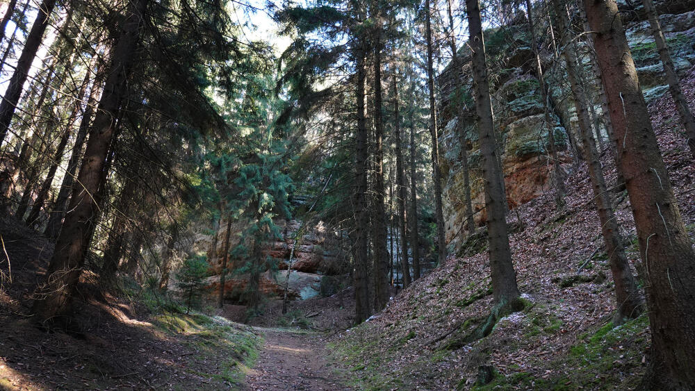Kamenná rokle.