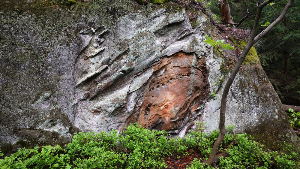 Oblast je plná zajímavých geologických jevů vysvětlených na infopanelech.