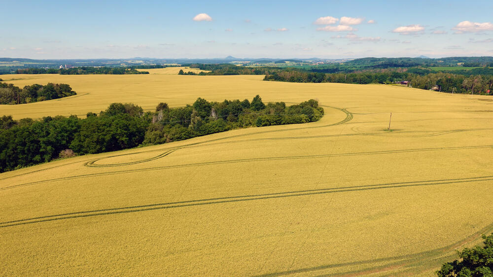 Rozhledna má opravdu skvělou strategickou polohu a tak je vidět celý obzor (a zde na něm Bezděz). Uvidíte Ralsko, Ještěd, Krkonoše, Trosky, Vyskeř...