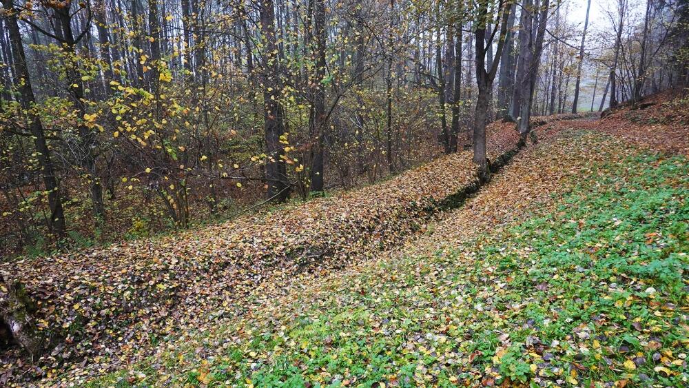 Cesta podél náhonu Jenišovského mlýna.
