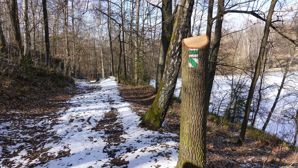 Nad Veseckým rybníkem (MAPA 2, bod 5).