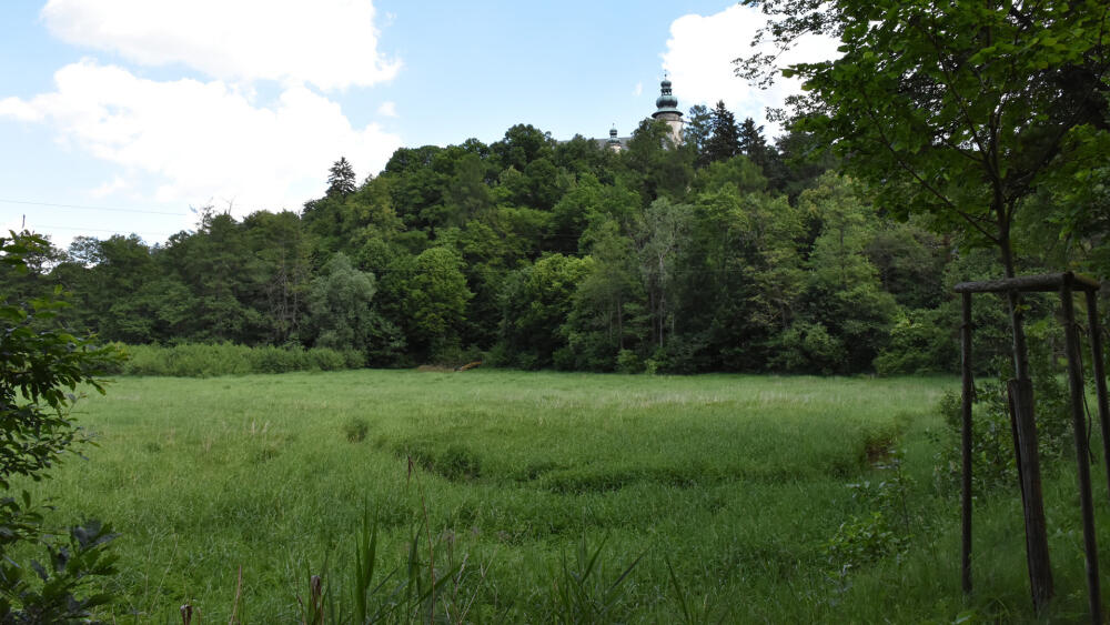 Vypuštěný Pivovarský rybník. Za ním vykukují věže Lemberka (foto bylo pořízeno z bodu 5 viz MAPA).