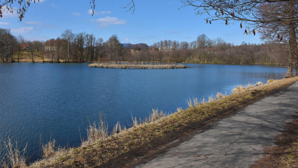 Markvartický rybník (MAPA bod 8).