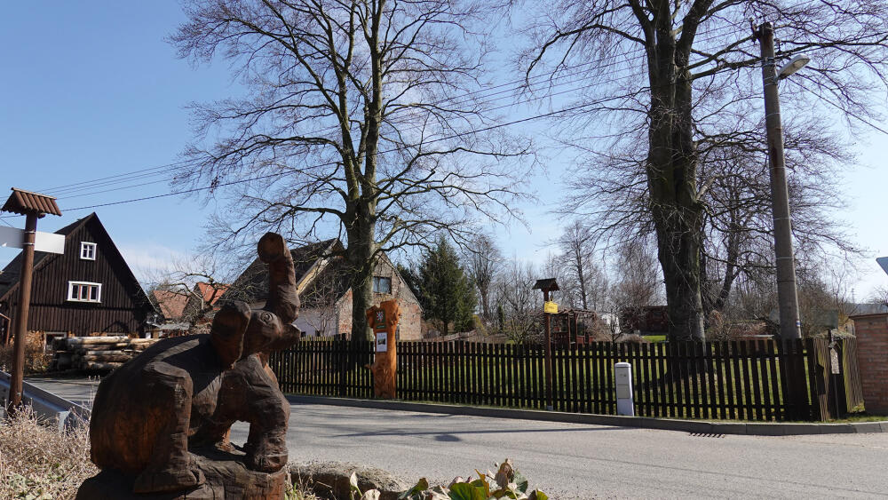 Dřevěné sochy jsou opravdu na každém rohu, například památné stromy střeží slon.