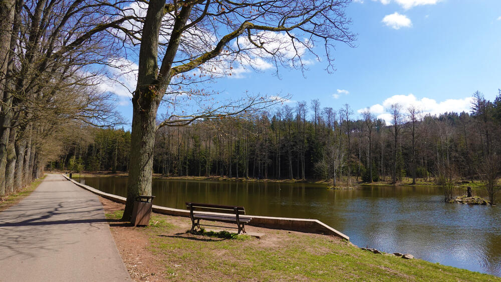 Oborský rybník. Po hrázi vede žlutá turistická značka.