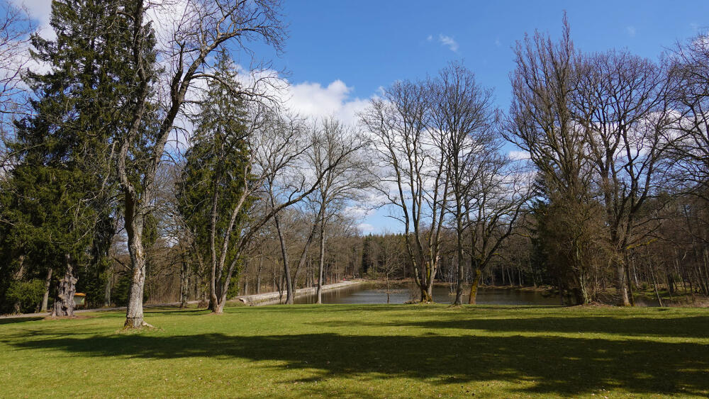 Pohled na Oborský rybník od arboreta.