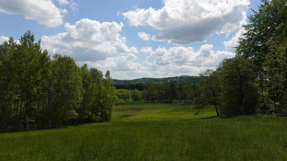Přírodní rezervace Brazilka, pohled na Hochwald.