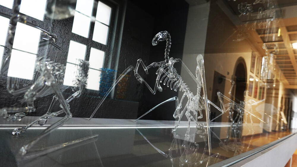 Krásní, kouzlem nechtěného symboličtí, sklenění dinosauři na chodbě školy.