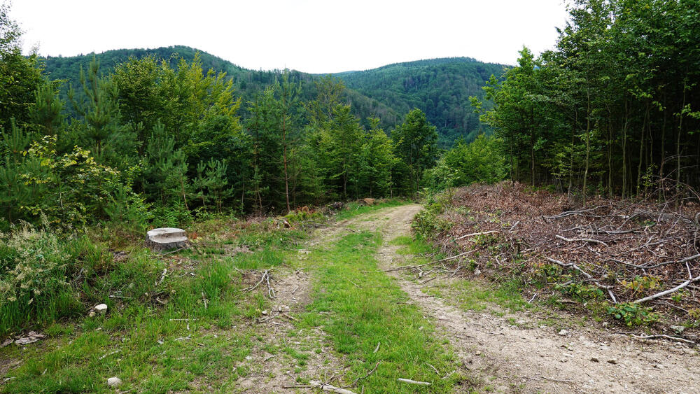 Výstavba díla poněkud omezí pohyb po turistických cestách, které bude kopírovat vodovod od Orionu a oba vodojemy budou stát přímo u této lesní cesty, využívané pro volnočasové aktivity.
