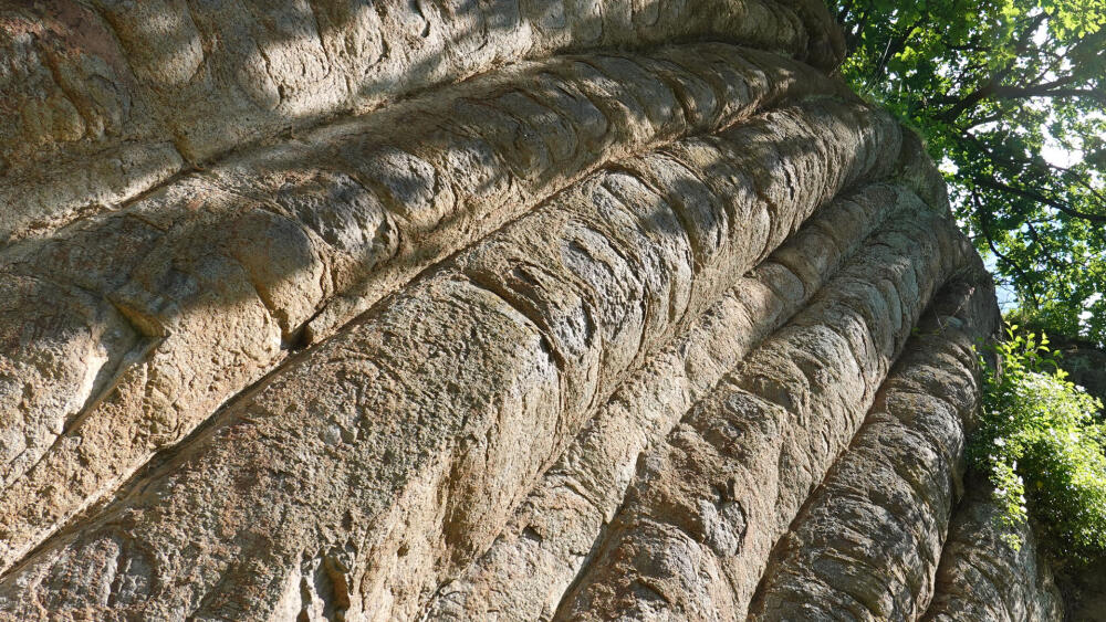 Konojedské bochníky, detail.