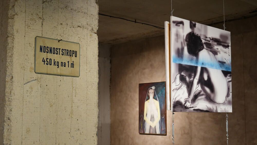 Z výstavy Jiřího Davida v Kunst Hale. 