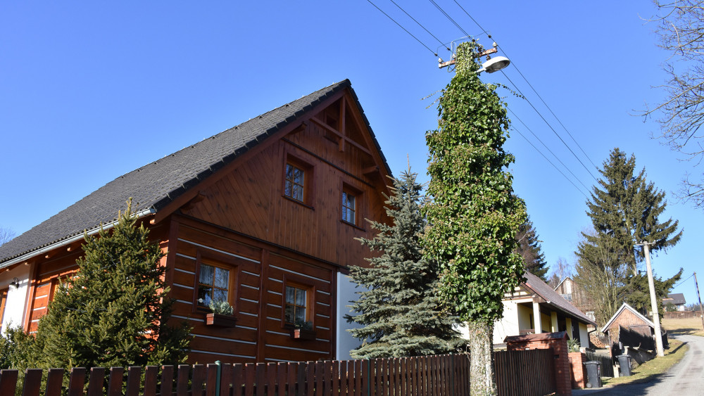 Stromosloup nebo sloupostrom?