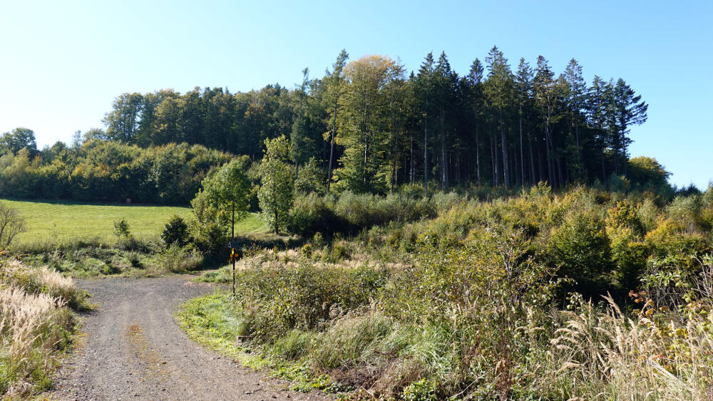 Vrchol, na kterém hrad stával, poměrně výrazně ční nad okolní krajinu.