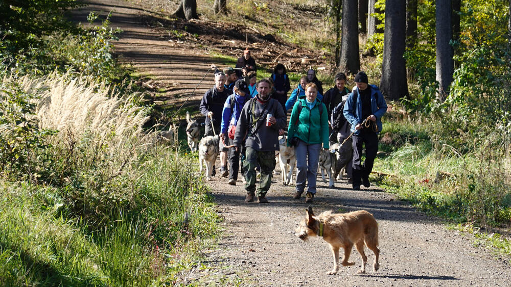 Bradlec je oblíbenou destinací jednotlivců i skupin turistů.