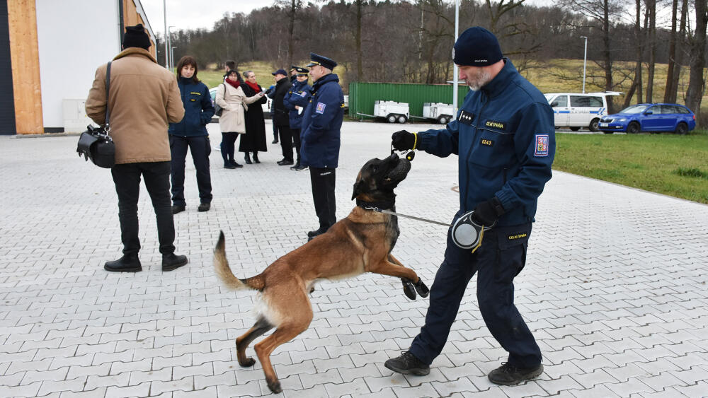 Odměnou za dobře vykonanou práci je pamlsek, nebo ještě častěji hra, jako v tomto případě.