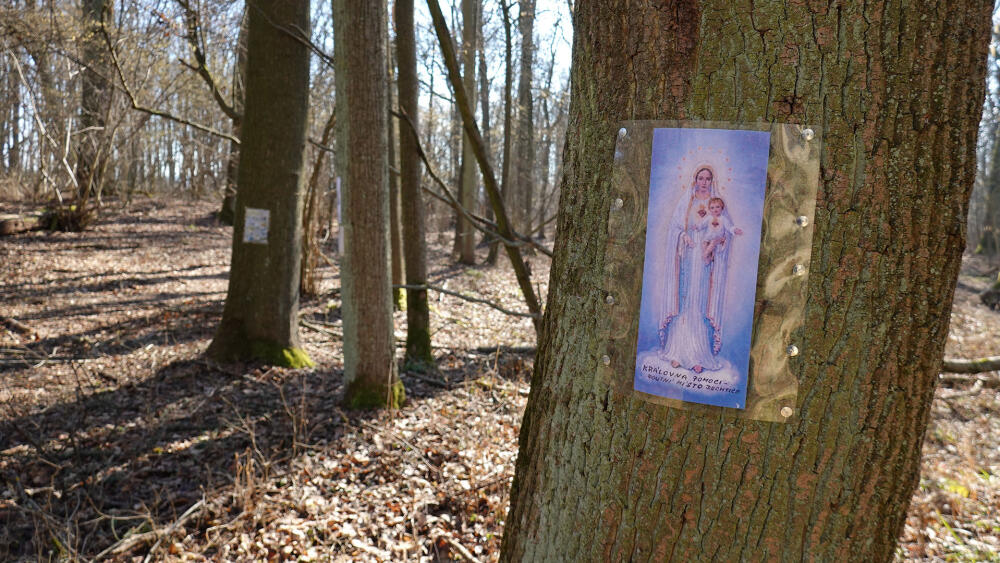 Cesta ke studánce svatými obrázky roubená.