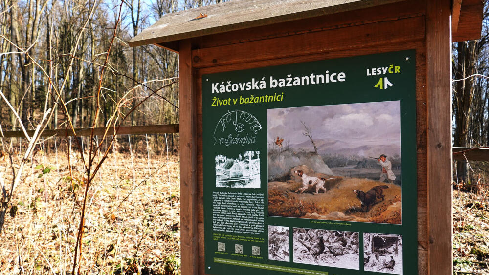 A takto bažantnice žila v dobách největší slávy. V pozadí obrazu je Ještědský hřeben ještě bez původního hotelu, dokončeného roku 1907.