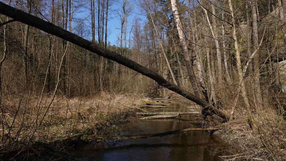Typická předjarní scenérie z Pekla.
