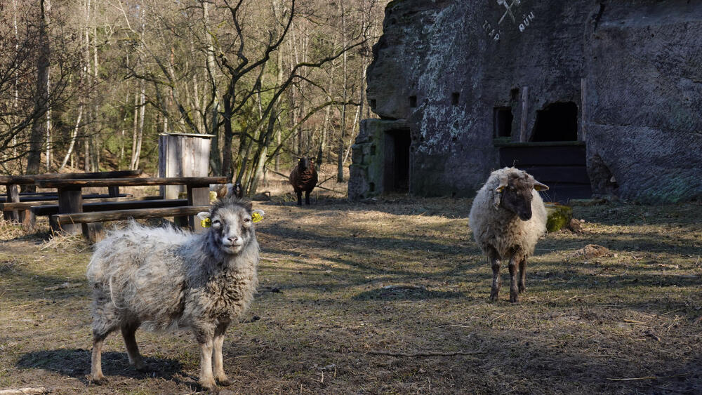 Skalní farma.