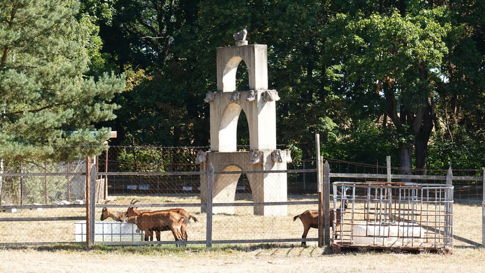 Kraví akvadukt od Jana Hendricha.