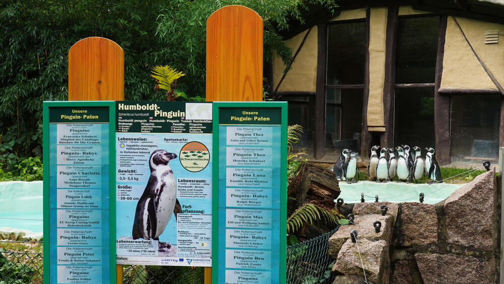 ZOO má výbornou navigaci i výstižné a stručné popisy živočichů nejen v němčině, ale i česky, anglicky a polsky. Nechybí ani jména sponzorů.