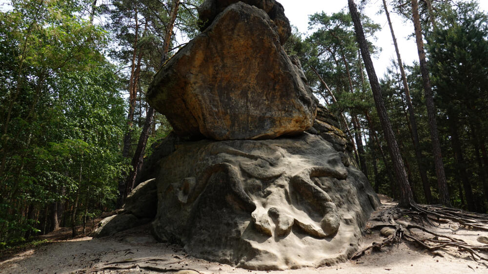 Had rozetnutý sekerou.