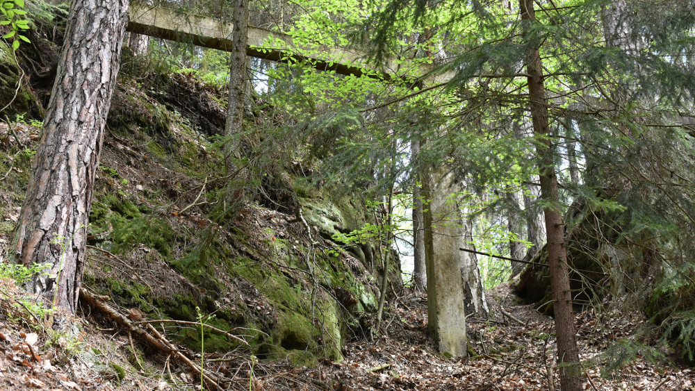 K léčebně patří i rozsáhlý lesopark, ve kterém jsou dodnes patrné stopy mohutných ochranných plotů.