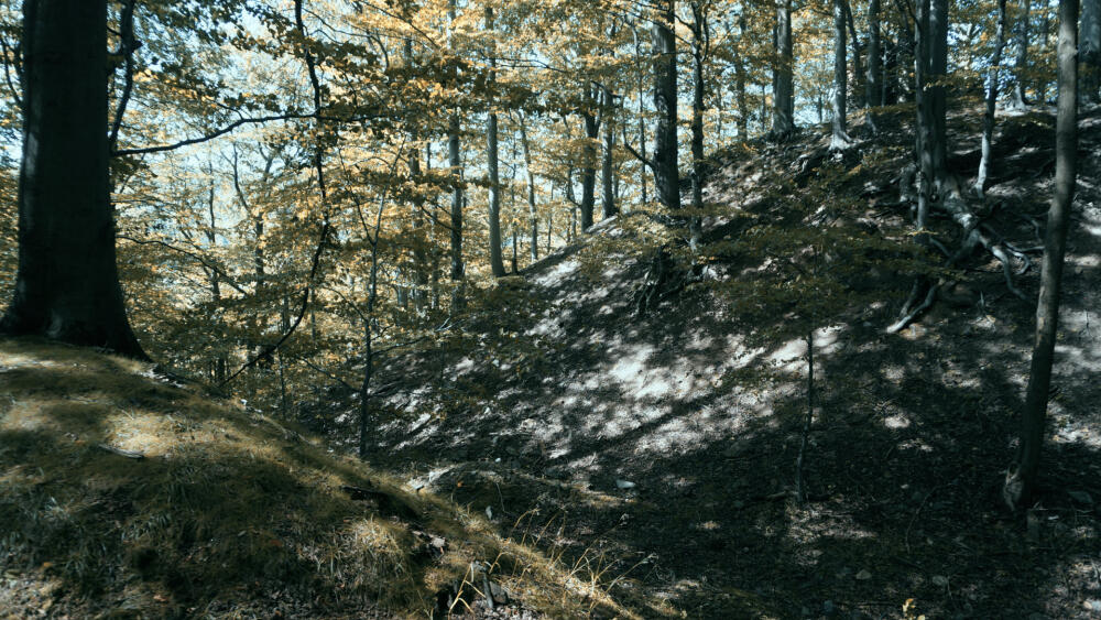 Val.