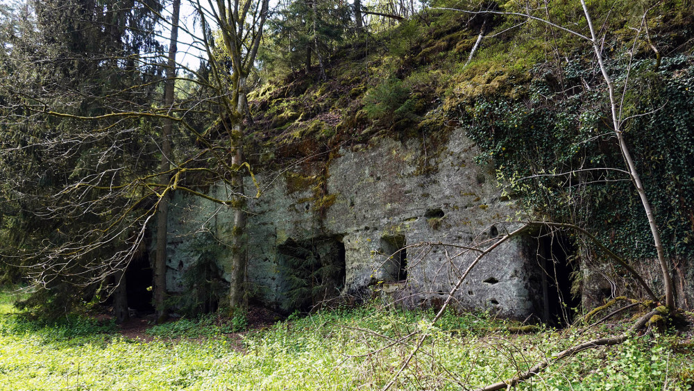 Část rozsáhlého komplexu hospodářských "jeskyní" v lokalitě Zourův mlýn.