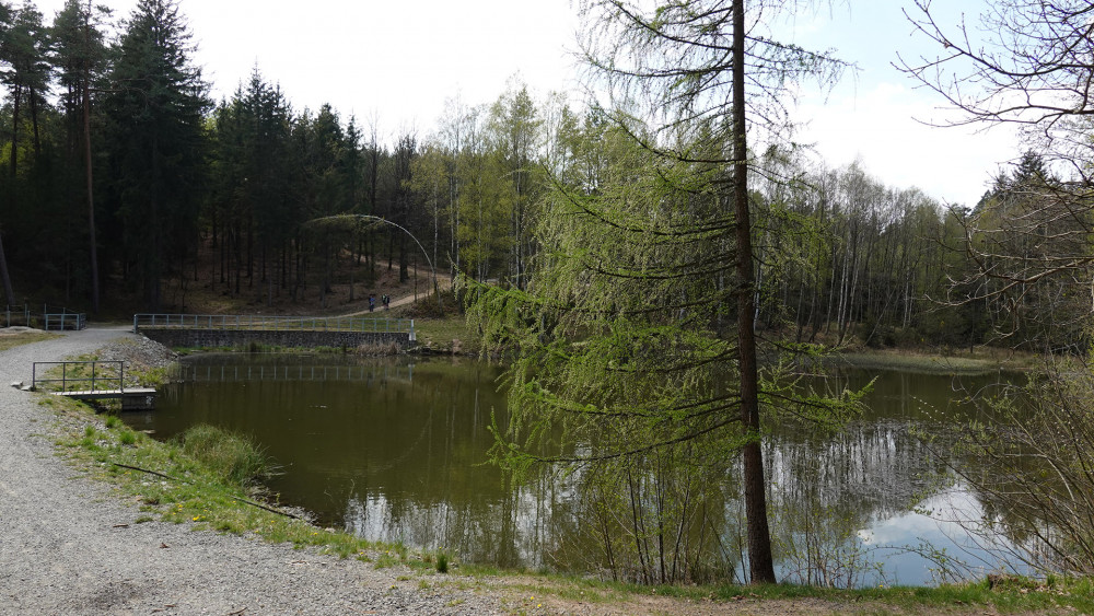 Rybník Na Vorech.