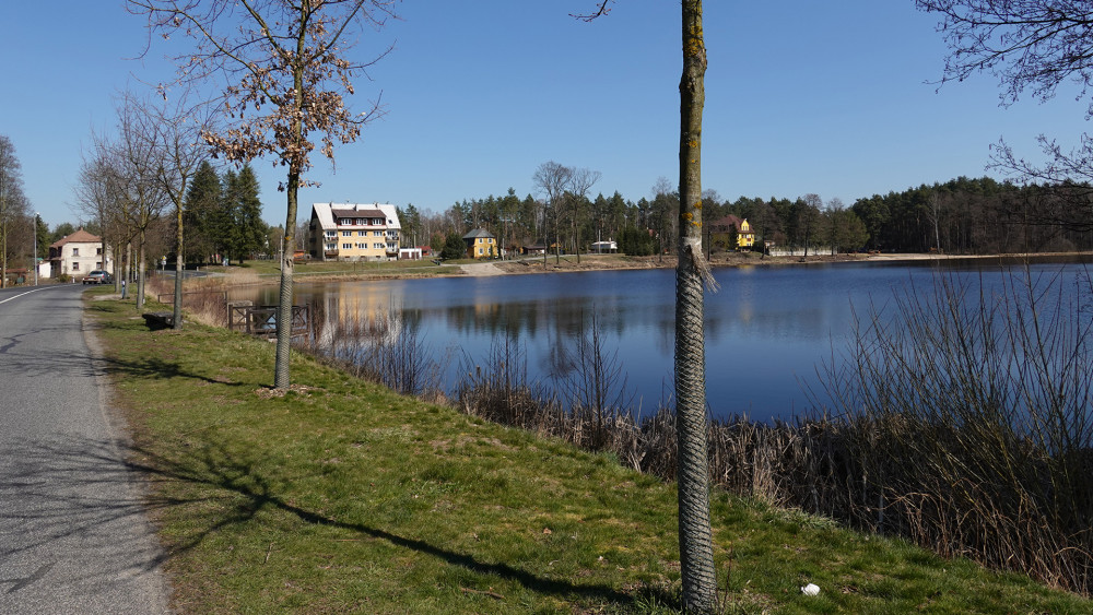 Hradčanský rybník prochází revitalizací, ale kvůli páření škeblí musel být přechodně znovu napuštěn.