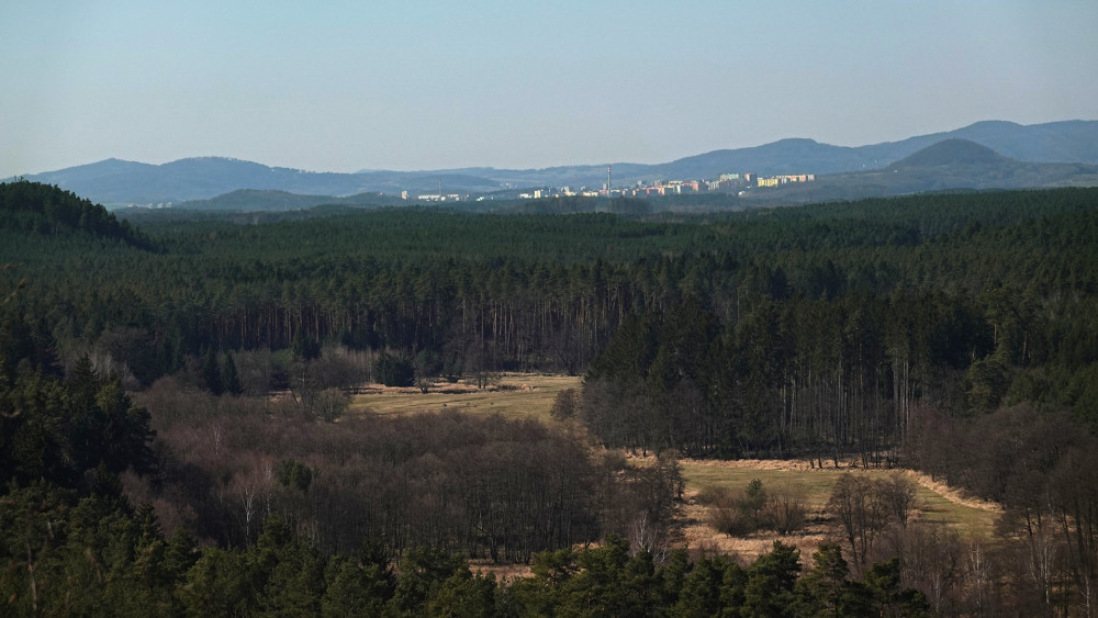 Pohled po směru toku Ploučnice.