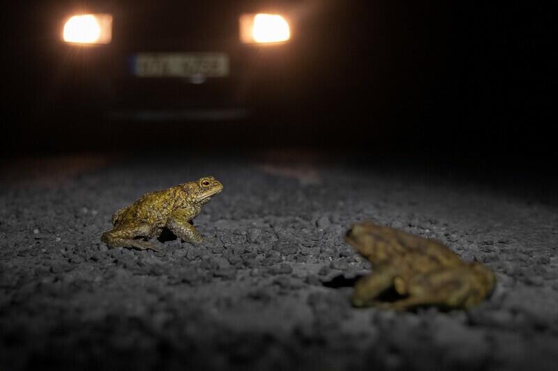 Foto: Michal Šulc