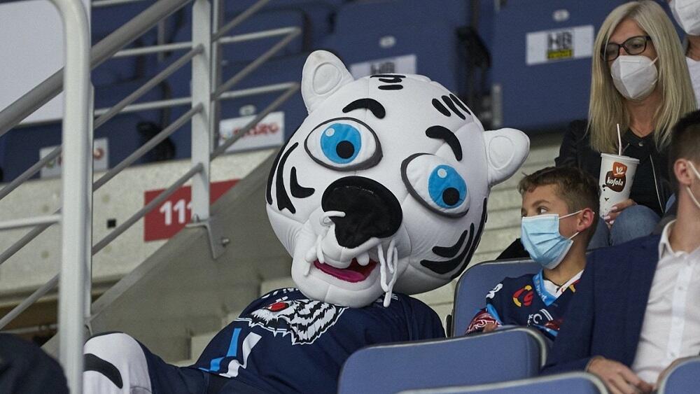 Foto: www.hcbilitygri.cz