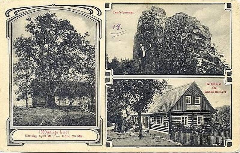 Repro z http://www.fotohistorie.cz. Kotelská lípa na pohlednici z roku 1905.