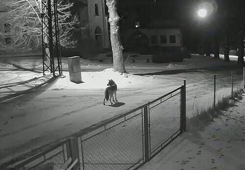 Foto z FB Jablonec nad Nisou - oficiální